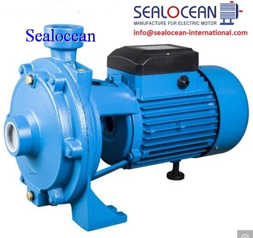 КИТАЙ ЗАВОД ГЛАВНАЯ ЦЕНТРОБЕЖНЫЕ НАСОСЫ НАСОСЫ СЕРИИ SCM2,КОНСОЛЬНЫЕ ...