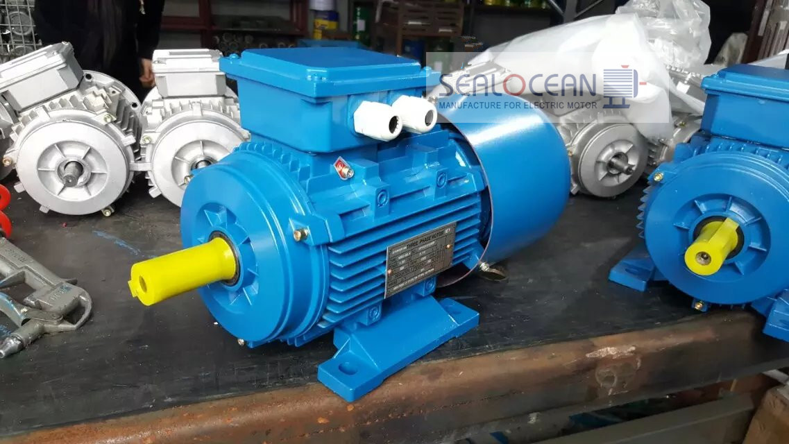 Single phase water 2025 motor price