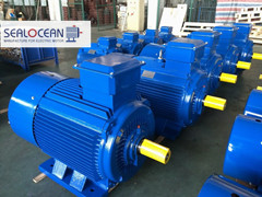 Sealocean,Take Active Part in 117th Canton Fair