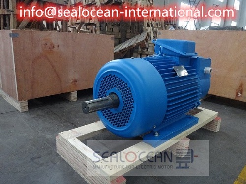 CHINA FáBRICA  Motor Eléctrico metalúrgicas y grúas YZR,China FáBRICA motores eléctricos de corriente continua Z4 ,CHINA FáBRICA  Motor Eléctrico Freno Electromagnético DC MSEJ