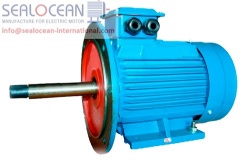 CHINA FACTORY 18.5 kW 1500 rpm ELECTRIC motor AIR160M4-PAWS + FLANGE (2001/2081), CHINA FACTORY electric Motor AIR160M4ZHU2 IM2081 18.5 kW, 1500ob / min, CHINA FACTORY Electric motors AIR160M4ZH, AIR160M4ZHU2 with extended shaft for monoblock pumps