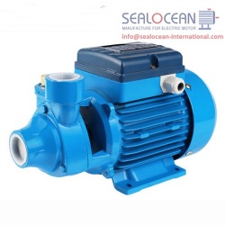 CHINA FACTORY SURFACE PUMP PM, PM SURFACE PUMP FROM CHINA FACTORY, SWIRL PUMP PUMP FROM CHINA, PERIPHERAL PUMPS PM PRODUCTION CHINA, CENTRIFUGAL PUMP PM CHINESE PRODUCTION