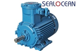 CHINA factory YB3-632-2, YB2-632-2 0.25 kW, YBX3-63M1-2 0.18 kW, EXDIIAT4,ATEX,IECEX EXDIIBT4, EXDIIBT4, explosion-PROOF electric MOTOR FROM CHINA FACTORY, CHINA factory YB2,,YB3, YBX3, YBF2, YBF3,YBVP2, YBD2,YBK2 explosion-PROOF electric MOTOR