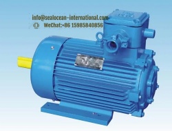 CHINA FACTORY YBZ, YBZS CRANE EXPLOSION-PROOF ELECTRIC MOTORS ,CHINA FACTORY YBZE,YBZSE CRANE EXPLOSION-PROOF ELECTRIC MOTORS WITH ELECTROMAGNETIC BRAKE