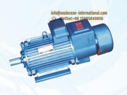 CHINA FACTORY YZE, YZRE CRANE ELECTRIC MOTORS, CHINA FACTORY YZE, YZRE CRANE ELECTRIC MOTORS WITH ELECTROMAGNETIC BRAKE