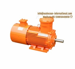 CHINA FACTORY VARIABLE FREQUENCY VARIABLE SPEED EXPLOSION PROOF MOTOR YBPT, CHINA FACTORY  VARIABLE FREQUENCY EXPLOSION PROTECT MOTOR YBBP, YBPT3, YBPT