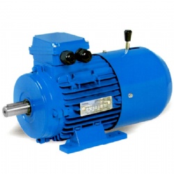 THREE PHASE SYNCHRONOUS BRAKING MOTOR MSEJ SERIES