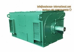 CHINA FACTORY HIGH-VOLTAGE THREE-PHASE ELECTRIC MOTORS IP23 AC Y SERIES ,FRAME SIZE 355-800,6 KV.  CHINA FACTORY HIGH-VOLTAGE ELECTRIC MOTORS FOR (SUGAR,STEEL,CEMENT)FACTORY,PUMP,FAN,DRUM AND BALL MILL,POWER PLANT