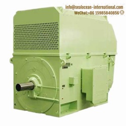 CHINA FACTORY HIGH-VOLTAGE ELECTRIC MOTORS SERIES DAZO 5 (10 KV) ,IP44,IP54,IP55,AIR-COOLED IC611.CHINA FACTORY HIGH-VOLTAGE ELECTRIC MOTORS FOR (SUGAR,STEEL,CEMENT)FACTORY,PUMP,FAN,DRUM AND BALL MILL