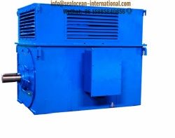 CHINA FACTORY HIGH VOLTAGE ELECTRIC MOTOR WITH ROTATION AXIS HEIGHT 450MM, MODEL:A4-450Y6 U3/800KW.  HIGH VOLTAGE ASYNCHRONOUS ELECTRIC MOTOR, CHINA FACTORY HIGH VOLTAGE ELECTRIC MOTORS DAZO4, A4, SDN, SD2, SD3