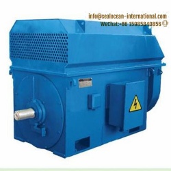 CHINA FACTORY HIGH-VOLTAGE ELECTRIC MOTOR DAZO5-400C-6B06U2, 315 KW, 6000B. CHINA FACTORY HIGH VOLTAGE ELECTRIC MOTOR SERIES DAZO4, A4, SDN, SD2, SD3, SUPPLIERS, MANUFACTURERS AND FACTORY IN CHINA, USED FOR PA FAN, CONVEYOR, MILL, CRUSHER, PUMP