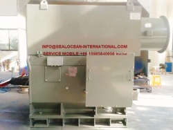 CHINA FACTORY VFD HIGH-VOLTAGE VARIABLE FREQUENCY MOTORS YSPKK500-6, 800 KW, 690 V. CHINA FACTORY HIGH-VOLTAGE VARIABLE FREQUENCY MOTORS YJTKK,YJTKS,YPKK,YSPKK,YPKS,YPT,YPTKK,YVF,YPRKK,YPRKS ,YSP,YVFKK, YKKPT, YJTGKK, YKP, YVF2