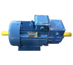 Crane electric motor MTN 312-8 (11 kW, 750 rpm) - execution IM1001 (1002)., Russia gost standard motor, Crane electric motors (CHINA), CHINESE FACTORY CRANE ELECTRIC MOTORS