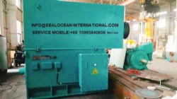 CHINA FACTORY VFD VSD HIGH VOLTAGE VARIABLE FREQUENCY ELECTRIC MOTORS YPKK / YVF2-500-12 220 KW 10000 V COMPATIBLE WITH FREQUENCY CONVERTER, FOR PA FAN, CONVEYOR, MILL, CRUSHER, PUMP