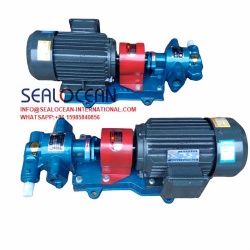 Large Flow Oil Transfer Pump - China Oil Pump, Electric Transfer