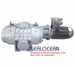 CHINA FACTORY ZJQ SERIES AIR-COOLED ROOTS VACUUM PUMP