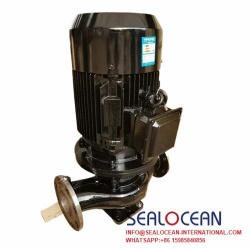 CHINA FACTORY STAINLESS STEEL  VERTICAL PIPELINE SEWAGE PUMP GWP. GWP SERIES SEWAGE PUMP CHINA SUPPLIER, FACTORY AND MANUFACTURER