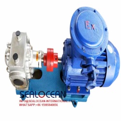 CHINA FACTORY BW THERMAL INSULATION GEAR PUMP ,BW SERIES HEAT INSULATION PARAFFIN WAX ,ASPHALT PUMP  . THERMAL  INSULATION PUMP   CHINA SUPPLIER,FACTORY AND MANUFACTURER