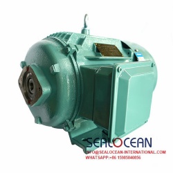 CHINA FACTORY SPECIAL MOTOR FOR HYDRAULIC OIL PUMP,VANE PUMP Y2,YQB,Y,0,37KW-18.5KW