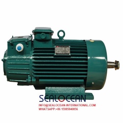 CHINA FACTORY GOST CRANE ELECTRIC MOTORS MTKN 311-8 7.5KW 695 RPM 2K.V.,4MTN400M10U1 132KW 600 RPM 380V 2 KW,ELECTRIC.DVIG. MTN412-8 22KW 715 RPM,2 K.V.. CRANE METALLURGICAL FOR STEEL PLANT