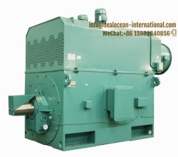 CHINA FACTORY VFD VSD HIGH VOLTAGE VARIABLE FREQUENCY ELECTRIC MOTORS YJTKK/YSPKK/YVPKK/YVFKK/YPT/YPTKK/YVF/YJT/YPKK, YSPKK450-4,500 KW, 690V,YSPKK560-6, 900 KW, 690V,YSPKK560-6, 1120 KW, 690V FOR STEEL SHREDDER,CRUSHER,PUMP