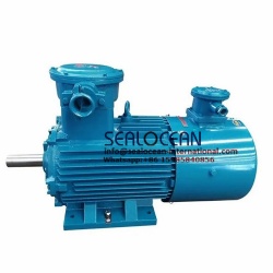CHINA FACTORY EXPLOSION-PROOF ELECTRIC MOTOR WITH VARIABLE SPEED YBBP 315S-4W, 110 KW, 380V IC416 , 5~50 HZ YBBP 200L1-4W, 30KW, 380V,IP55 5-50 HZ IC416, ExdIIBT4 Gb FOR COAL, OIL AND GAS,COOLING TOWER FANS
