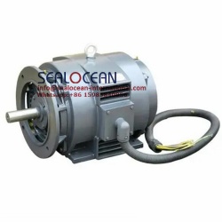 CHINA FACTORY SPECIAL THREE-PHASE ASYNCHRONOUS ELECTRIC MOTOR FOR AIR COMPRESSORS OF YK, YK2, YKX AND Y SERIES, PROTECTION CLASS IP23,YK180L2, IP23-Y180L-2,YXK180L-2, 37 KW,2940 RPM,B35,EFFICIENCY 1.15