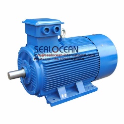 CHINA FACTORY ELECTRIC MOTOR YE3-355L2-6, UH3-355L2-6, YE4-355L2-6, 250KW, 380V, 1000 RPM,50 Hz . MOTOR Y,Y2,Y3,YE2,YE3,YE4, YE5,YX3,IE5,IE4 IE3,IE2,IE1,FOR PUMP,FAN,MILL,POWER PLANT