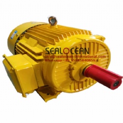 CHINA FACTORY ELECTRIC MOTOR YE3-315L2-4, Y2-315L2-4, YE4-315L2-4, 185 KW, 200KW, 380V, 400V, 1500 RPM,50 Hz. MOTOR Y,Y2,Y3,YE2,YE3,YE4,YE5,YX3,IE5,IE4 IE3,IE2, IE1,FOR PUMP,FAN,MILL,POWER PLANT