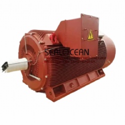 CHINA FACTORY ELECTRIC MOTOR BRAND SEALOCEAN, ANALOG MOTORS WEG HGF. HGF450, 900 KW, 2990 RPM,6000 V, IP55,S1