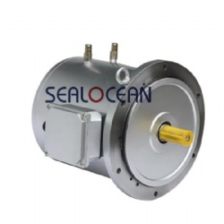 CHINA FACTORY ELECTRIC MOTOR WITH PERMANENT MAGNET AND ADJUSTABLE SPEED TYPCX,TYPCX225-12 200 KW 300 HZ 3000 RPM 400-690V IC71W WATER COOLING, TEST BENCH USE