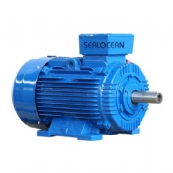 CHINA FACTORY ELECTRIC MOTOR YE5-355SM-2, YE4-355SM-2,YE3-355SM-2 250 KW, 2985 RPM, YE5-280S-2, YE4-280S-2, YE3-280S-275 KW, 2870 RPM, 380/660 V. ENGINES Y,Y2,Y3,YE2,YE3,YE4, YE5,YX,IE5,IE4 IE3,E2, E1,FOR PUMP,FAN,MILL