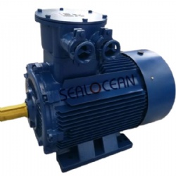 CHINA FACTORY EXPLOSION-PROOF ELECTRIC MOTOR YB2/YB3/YBX3/YB/VAO, VAO 2,AIMM, AIU SERIES,VAO 2-315M2,250 KW,3000 RPM,BA200L6 U1,30 KW, 980 RPM,ExdI Mb, Exd IIB T4Gb,EXDIICT4,FOR,CEMENT,POWER PLANT,COAL SHAFTS,COMPRESSOR
