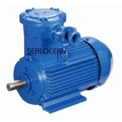 CHINA FACTORY EXPLOSION-PROOF HIGH VOLTAGE ELECTRIC MOTOR YB2/YB3/YBX3/YB/BAO, BAOM2, AIMM, AIU SERIES,BA250M2,90 KW,BA280S2, 110 KW ,Ba 280 S2, 132 KW,BA 315 S2, 160 KW, 3000 RPM,ExdI Mb, Exd IIB T4Gb,EXDIICT4, B3, FOR ,CEMENT,POWER PLANT,COAL MINES,COMP