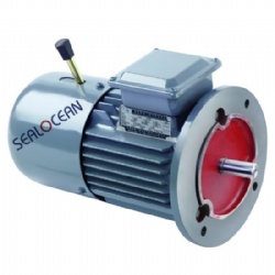 CHINA FACTORY ELECTRIC MOTOR WITH BRAKE AIR 355 M6 E (ED, ET),5AI355M6ET (ET1), 200 KW,380V,1000 RPM.5AI315M6ET (ET1),AIR315M6ET(ET1), 132 KW 1000 RPM,5AI250S4ET(ET1),AIR250S4ET (ET1), 75 KW 1500 ABOUT/MIN IM1081