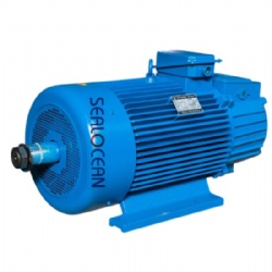CHINA GOST FACTORY CRANE ELECTRIC MOTORS 4MTN400L10 160KW 600RPM,IM1004,4MTM280L10 75KW 575RPM,IM1004,MTN411-8 15KW 720RPM,IM1003 CRANE METALLURGICAL FOR STEEL PLANT