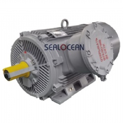 CHINA FACTORY EXPLOSION-PROOF ELECTRIC MOTOR YB2/YB3/YBX3/YBX4/YB, AIM, AIML, 4BP, VA, AB, 3B, BAO2, 1BAO SERIES, BAO2-280S2, 132 KW,BA280S2, 110 KW,BA280 S2, 132 KW,BA315 S2, 160 KW, 3000 RPM,ExdI Mb, Exd IIB T4Gb,EXDIICT4, B3, FOR CEMENT