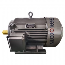 CHINA FACTORY ELECTRIC MOTOR YE5-355 M8, YE4-355 M8,YE3-355 M8,YE3-355 M8, 185 KW, 745 RPM, ANALOG MOTOR ANALOG MOTOR WEG W21 Xec 355M/L, 185 KW, 745 RPM, IP56, V6T. ENGINE Y,Y2,Y3,Y2,YE3,YE4, YE5,YX,IE5,IE4 IE3,IE2, IE1
