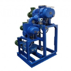 China Factory Roots-Screw Vacuum Units JZJSP70-2 JZJSP150-1 JZJSP150-2 JZJSP300-2 JZJSP300-4 JZJSP600-2