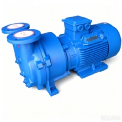 2BV2 Liquid Ring Vacuum Pump China Factory | 2BV2-060 2BV2-061 2BV2-070 2BV2-071 Ex Industrial OEM Manufacturer