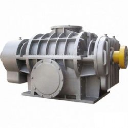 China Factory Two-Lobe Roots Blower L20×20WD L48×66WD-2 L70×80WD-2 DRG450