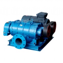 China Factory LGSR50H LGSR65H LGSR80H LGSR100H LGSR125H LGSR150H LGSR200H LGSR250H LGSR300H LGSR350H High Pressure Roots Blower