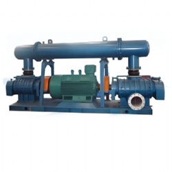 China Factory XQSSR125LG XQSSR150LG XQSSR200ALG XQSSR200LG XQSSR250LG XQSSR300LG XQSSR350LG Double Stage Roots Blower
