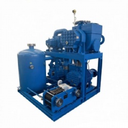 China Factory Corrosion Resistant Vacuum System SPBZ-W 2BV JZJ2B LCSP | Chemical Industrial Vacuum Equipment
